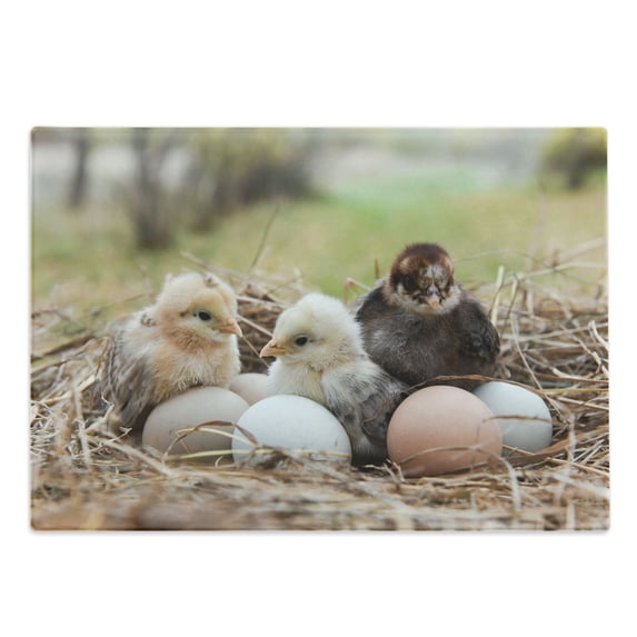 Chicks Cutting Board, Photo Focused on Little Chickens in Hay with Eggs Farm Animal Print, Decorative Tempered Glass Cutting and Serving Board, in 3 Sizes, by Ambesonne