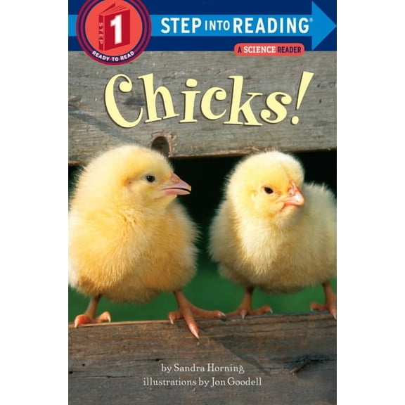 Chicks! (Paperback)