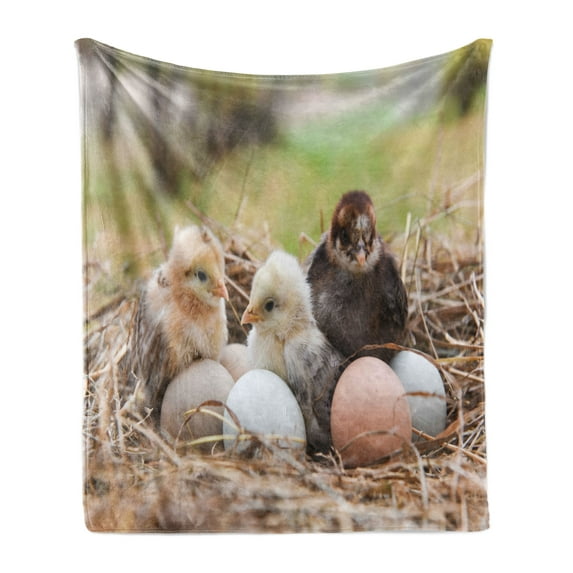 Chicks Soft Flannel Fleece Throw Blanket, Photo Focused on Little Chickens in Hay with Eggs Farm Animal Print, Cozy Plush for Indoor and Outdoor Use, 60" x 80", Multicolor, by Ambesonne