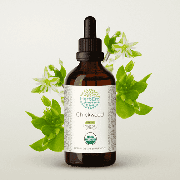 HerbEra Chickweed Tincture, Organic Herbal Dietary Supplement for Skin Support, Certified Organic Chickweed (Stellaria media) Dried Herb Extract, Natural, Alcohol-Free, Drops 4 oz