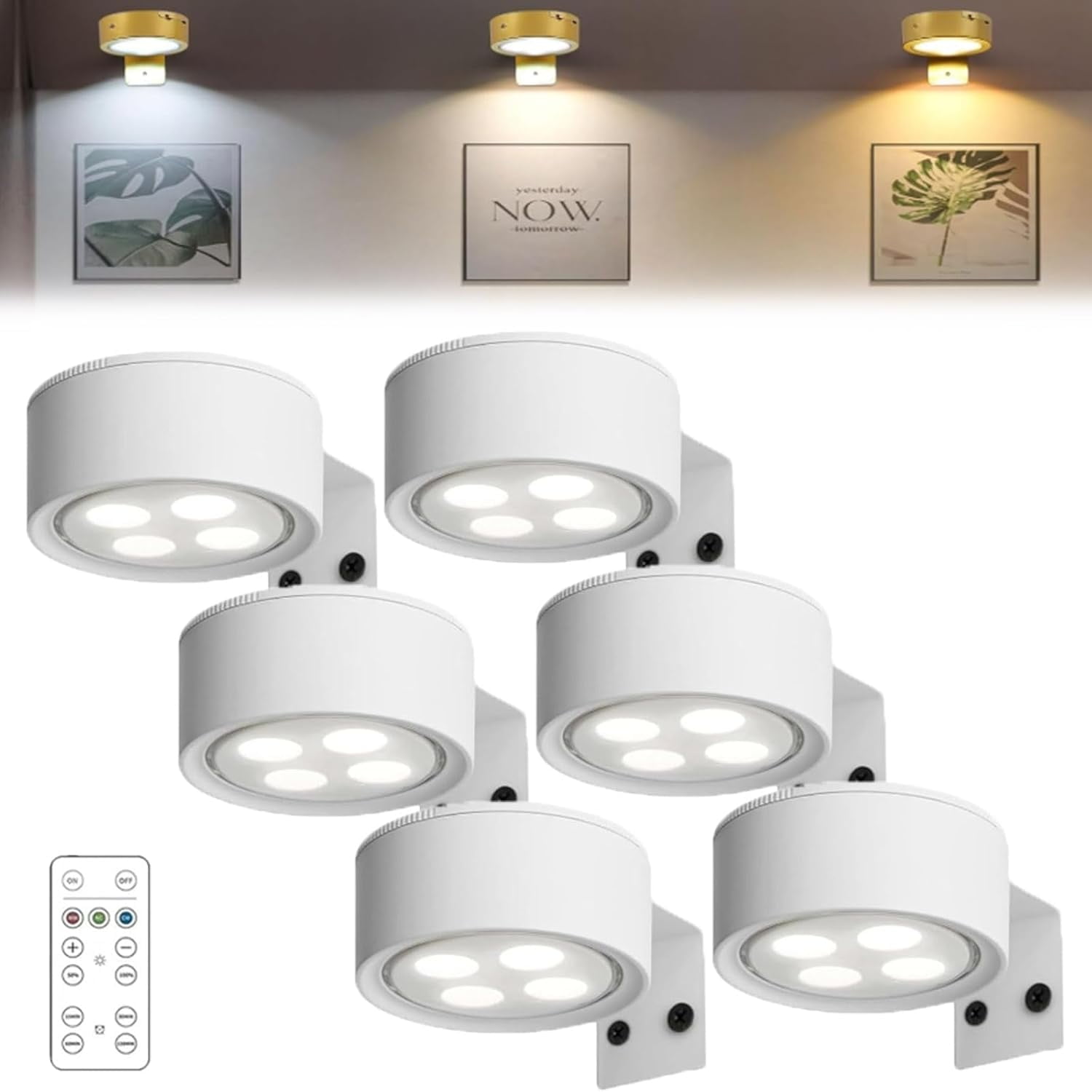 Chiclify Picture Lights For Wall With 3 Color Temps & Remote