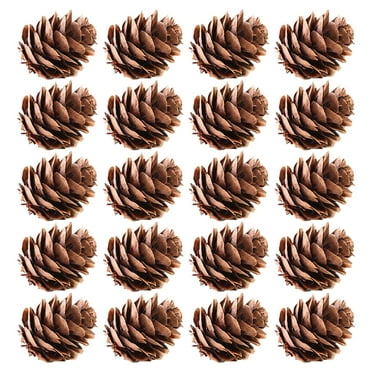 Chicmine 20Pcs Attractive Fake Pine Cone Widely Use Natural Decorative DIY Simulation Pinecone for Festival