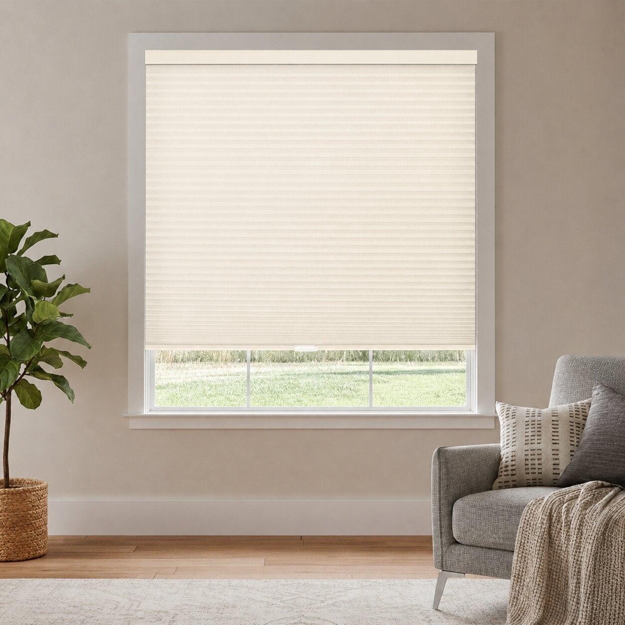 Chicology 53"W X 72"H Cordless Double Cell Cellular Shades Light Filtering Ivory