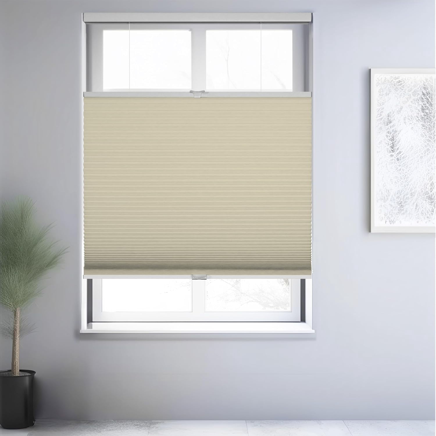 Chicology Beige Blackout Cordless Top Down Bottom Up Cellular Shades 37 in. W x 48 in. L