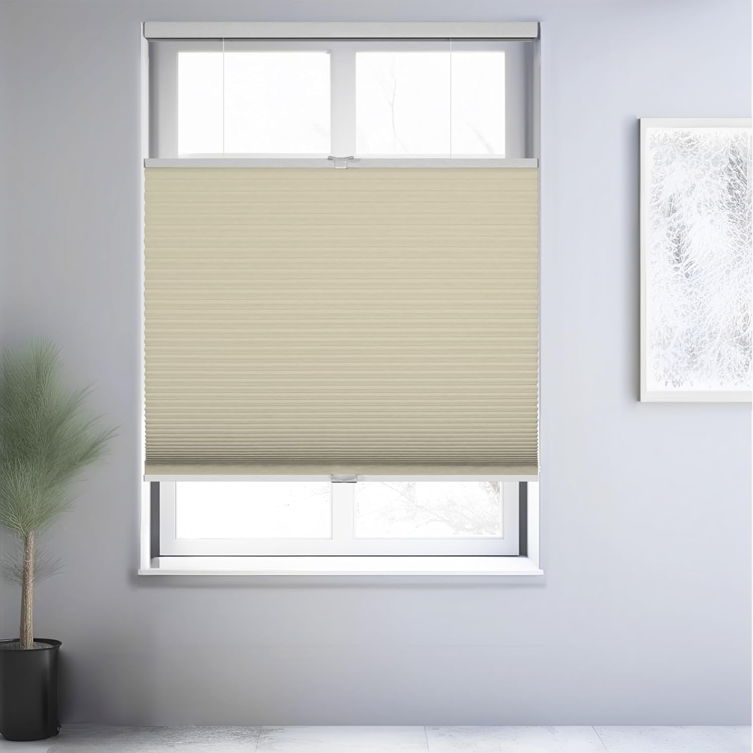 Chicology Beige Blackout Cordless Top Down Bottom Up Cellular Shades 55 in. W x 48 in. L