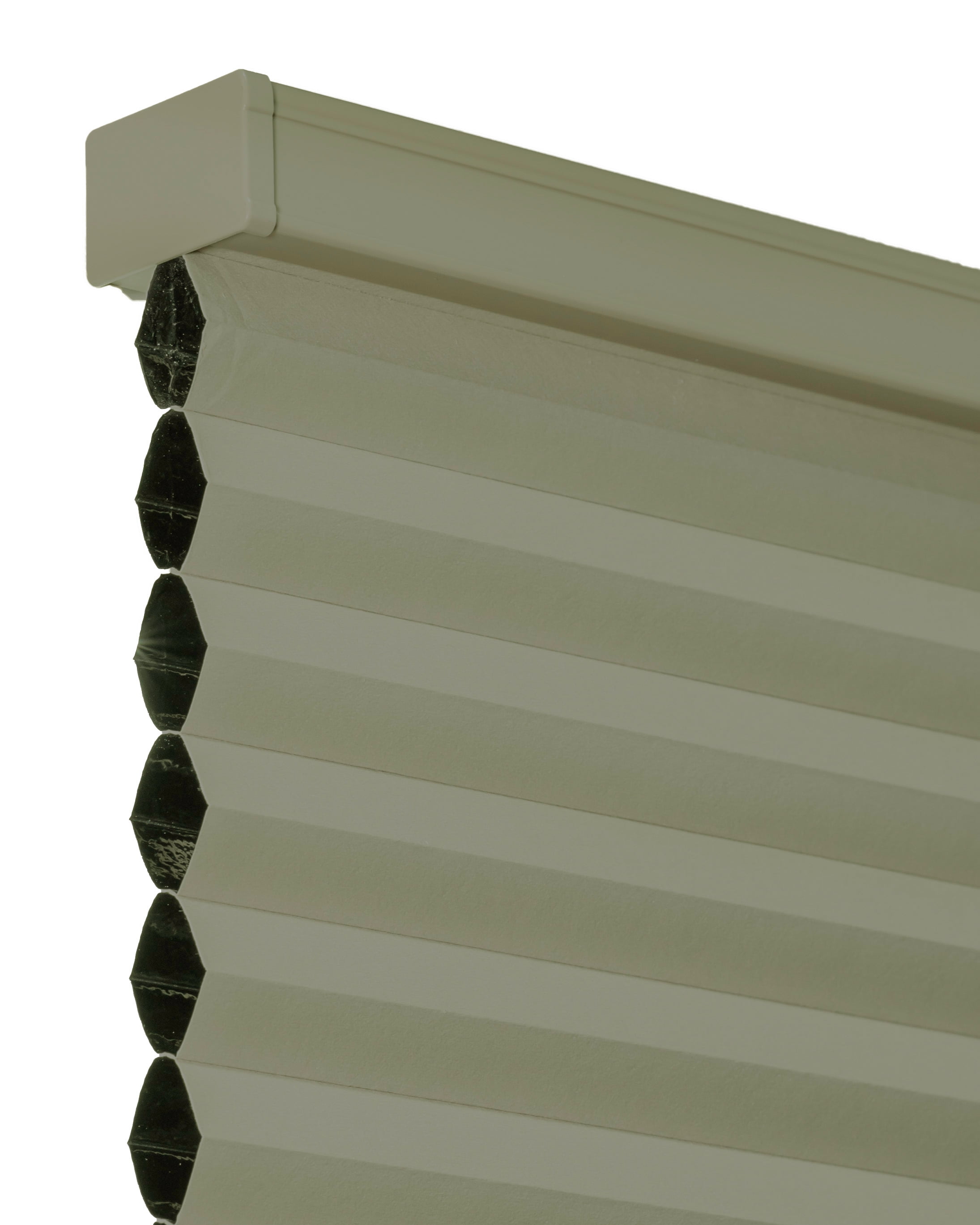 Chicology Cordless Cellular Shade Blackout, Palmer Green 39.5"W x 72"H