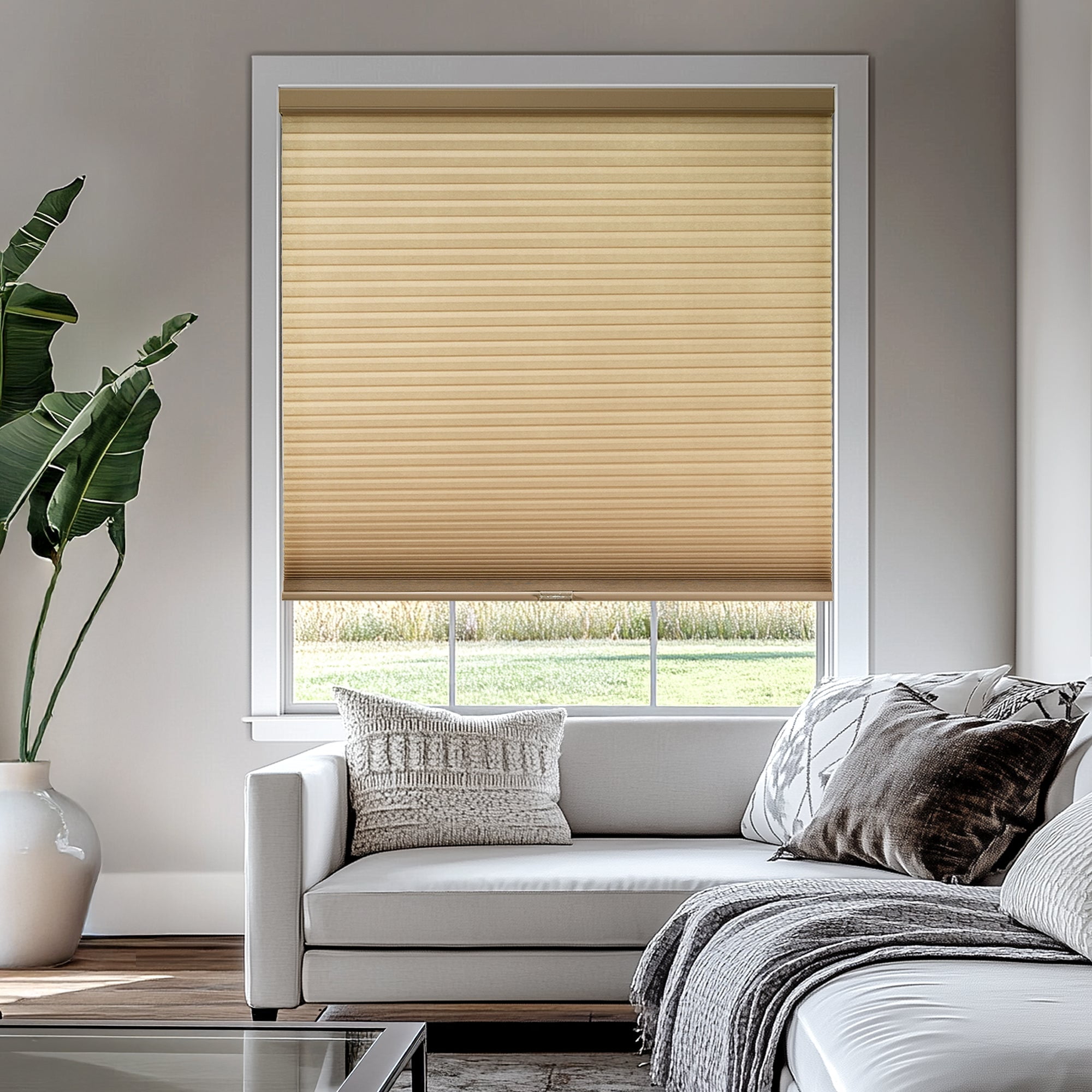 Chicology Light Filtering Cellular Shade, Morning Croissant, 53"W X 64"H