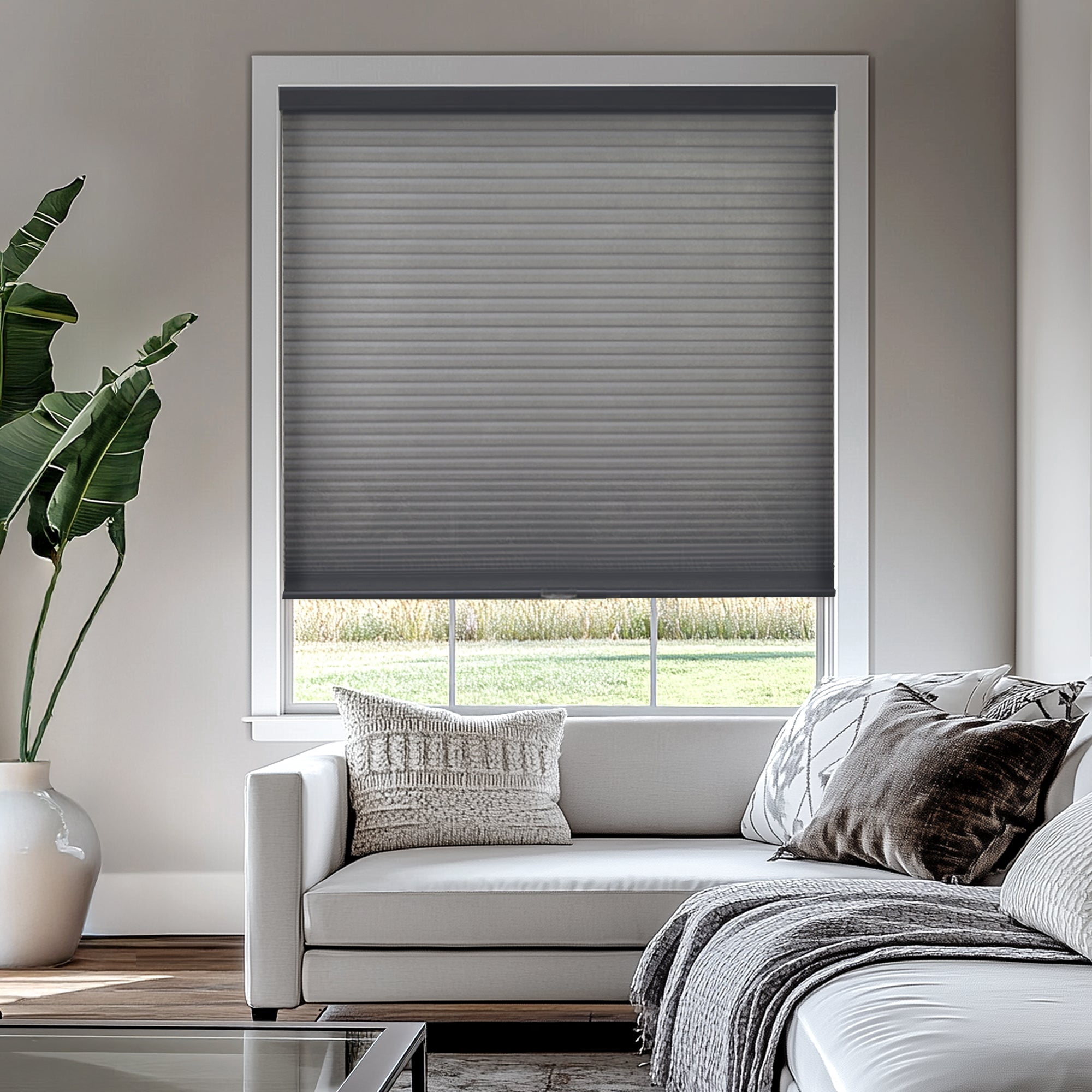 Chicology Light Filtering Cellular Shade, Morning Fog, 58.25"W X 48"H