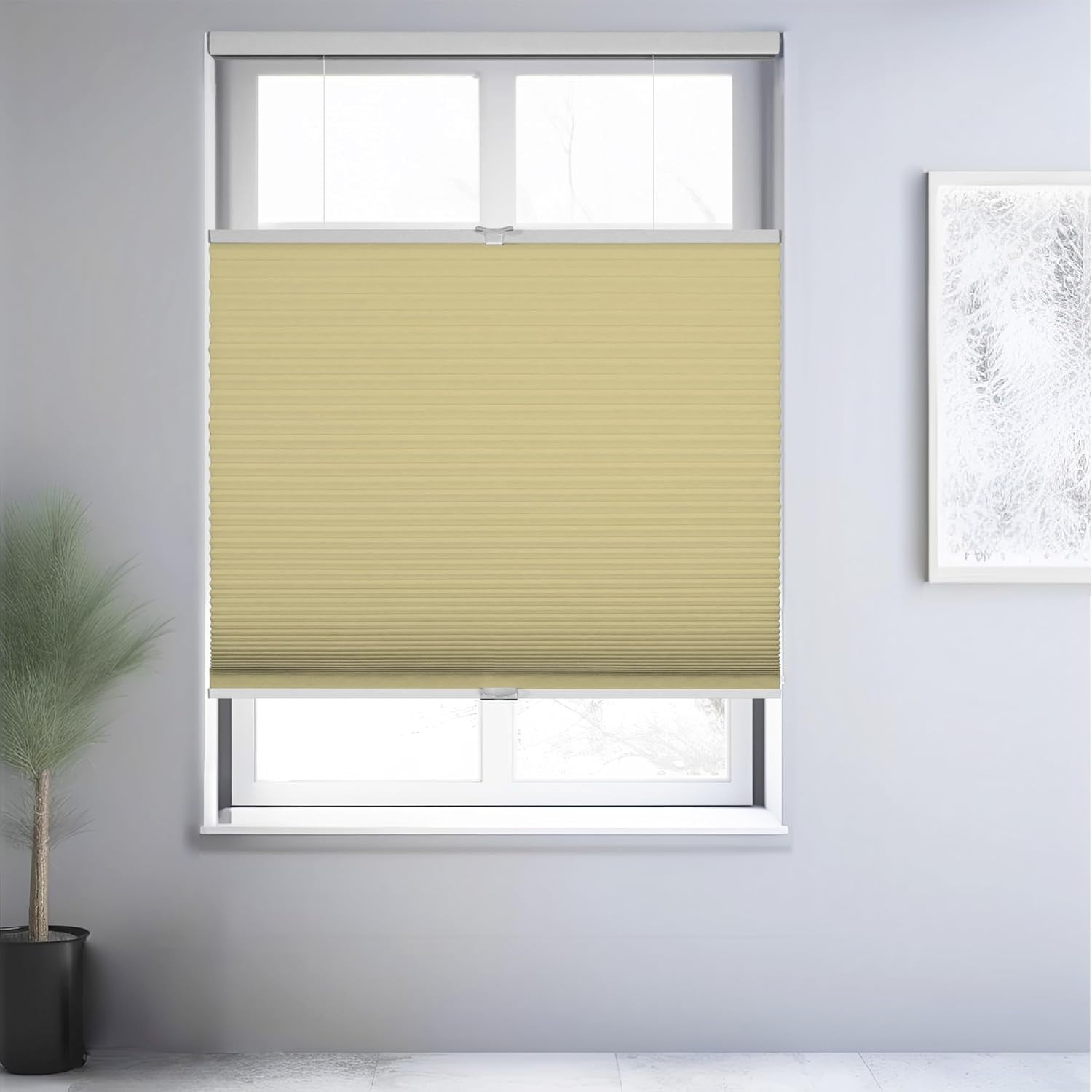 Chicology Cream Blackout Cordless Top Down Bottom Up Cellular Shades 41.75 in. W x 72 in. L