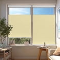 thumbnail image 1 of Chicology Cream Light Filtering Cordless Top Down Bottom Up Cellular Shades 27.75 in. W x 72 in. L, 1 of 8