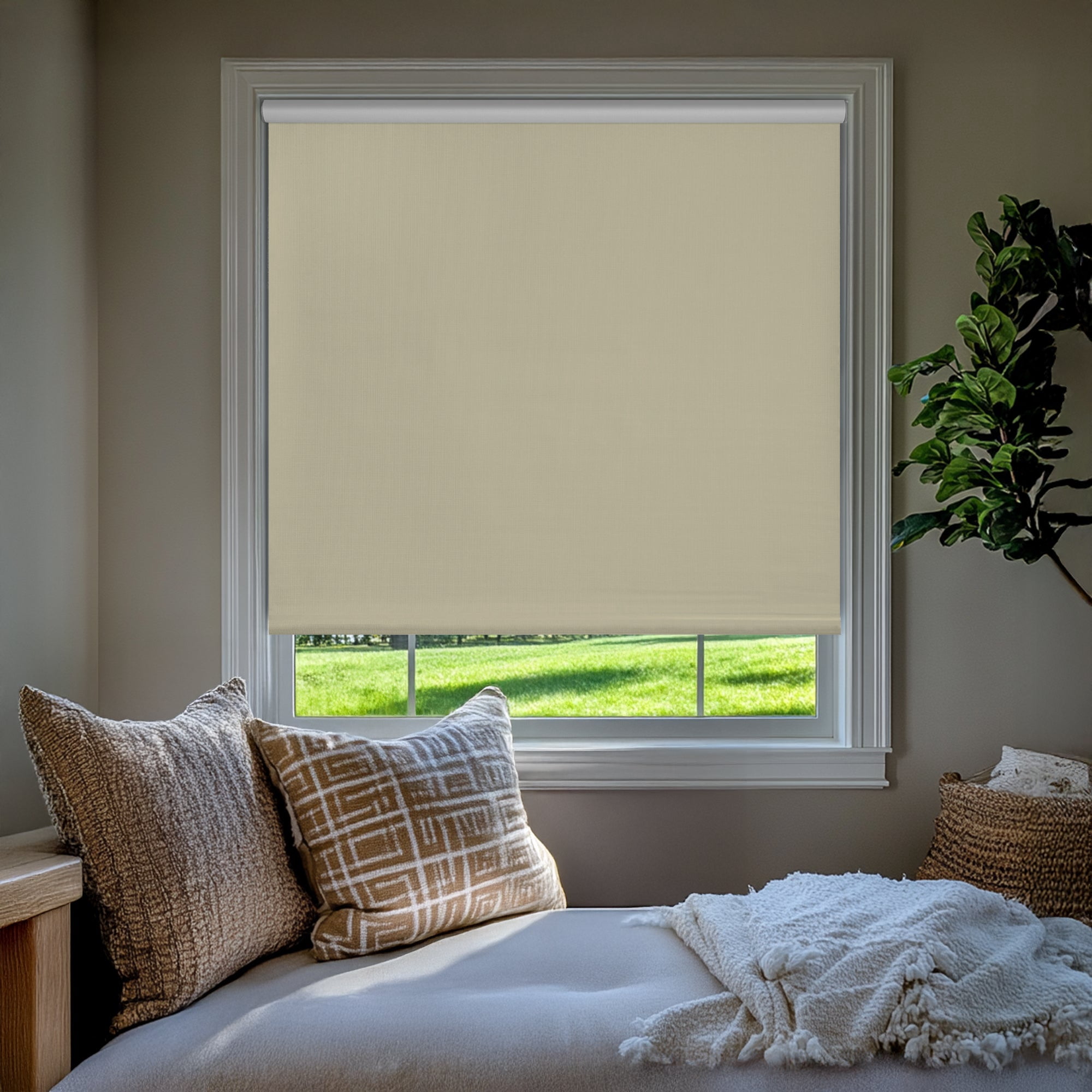 Chicology Textured Blackout Roller Shades | Cordless Light Filtering Window Blinds |45.5"W X 64"H| Decorative Privacy Shades for Home, Bedroom, Living Room, Kitchen | Easy Install | Cream