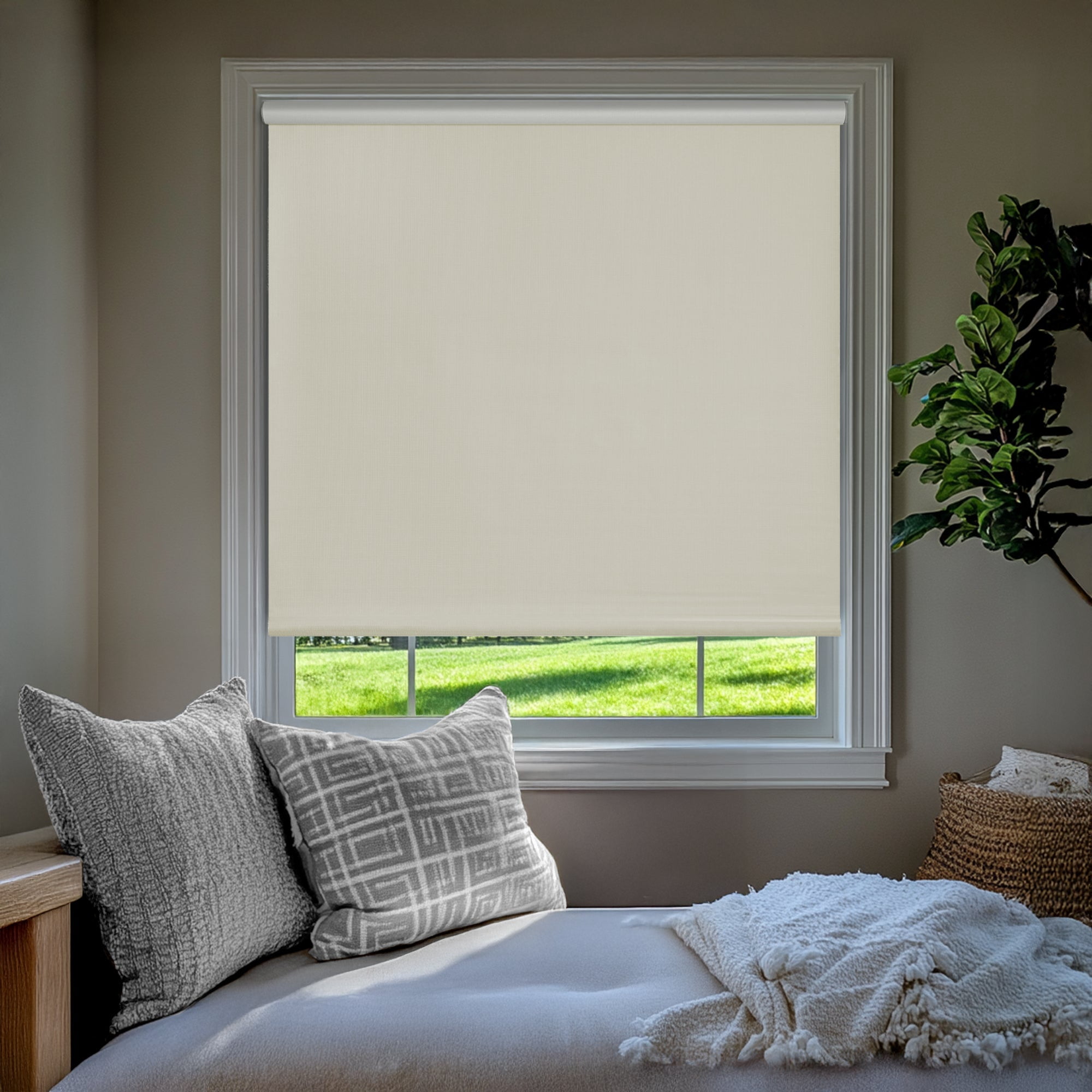 Chicology Textured Blackout Roller Shades | Cordless Light Filtering Window Blinds |20.5"W X 64"H| Decorative Privacy Shades for Home, Bedroom, Living Room, Kitchen | Easy Install | Ivory