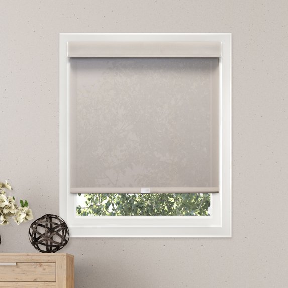 Chicology Privacy & Light Filtering Free-Stop Cordless Roller Shades