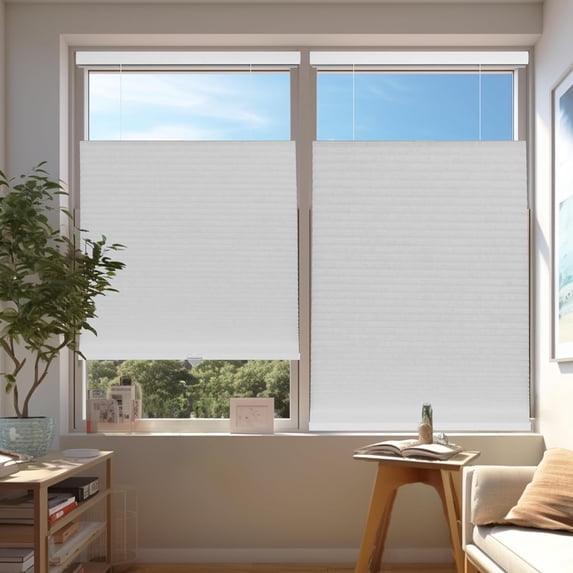 Chicology Salt Light Filtering Cordless Top Down Bottom Up Cellular Shades 23.5 in. W x 48 in. L