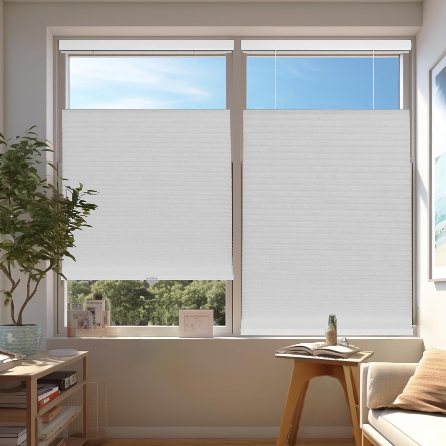 Chicology Salt Light Filtering Cordless Top Down Bottom Up Cellular Shades 27.75 in. W x 72 in. L