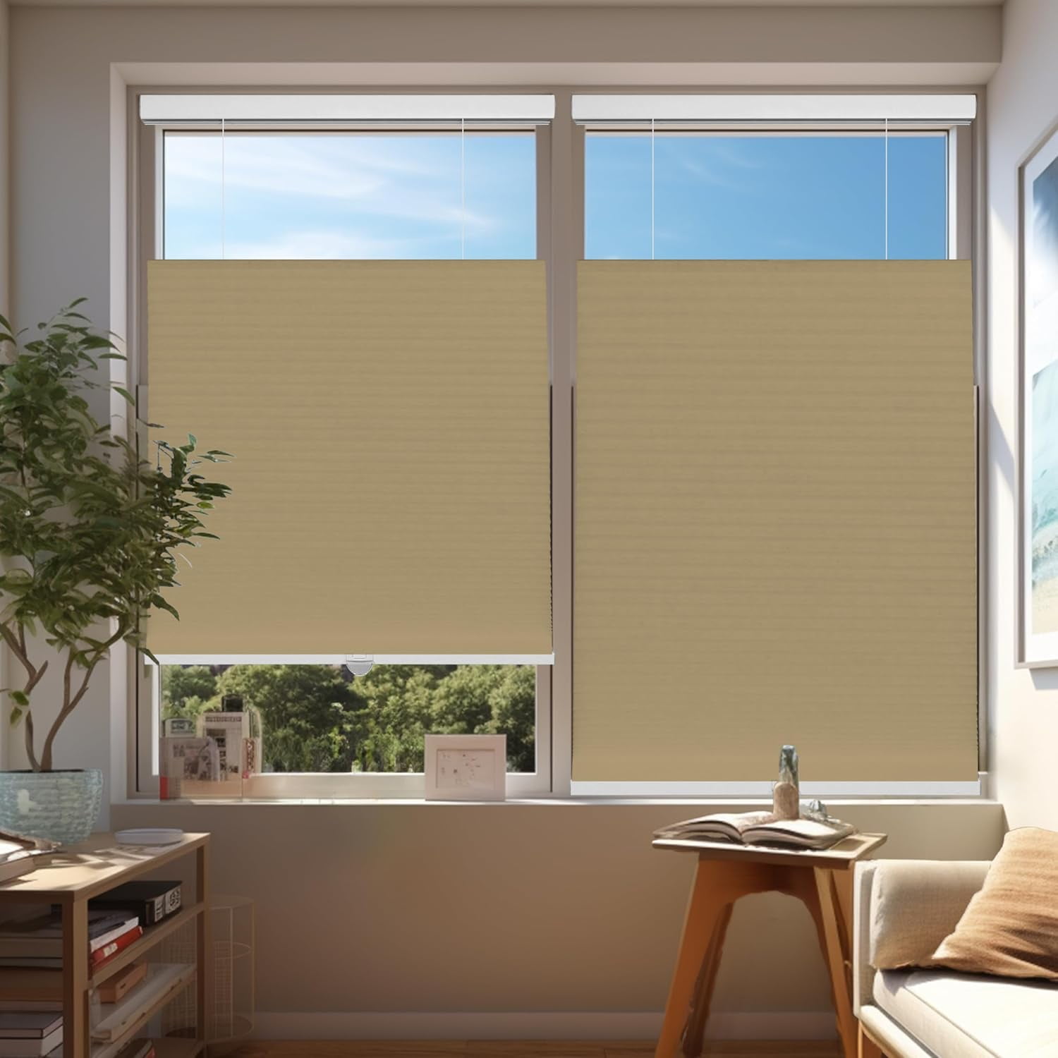 Chicology Sand Light Filtering Cordless Top Down Bottom Up Cellular Shades 27.25 in. W x 72 in. L
