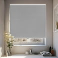 thumbnail image 1 of Chicology Silver Cordless Light Filtering Cellular Shades 30.75 in. W x 48 in. L, 1 of 9