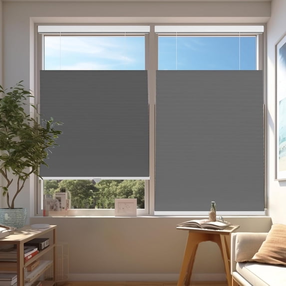 Chicology Steel Light Filtering Cordless Top Down Bottom Up Cellular Shades 29.25 in. W x 48 in. L