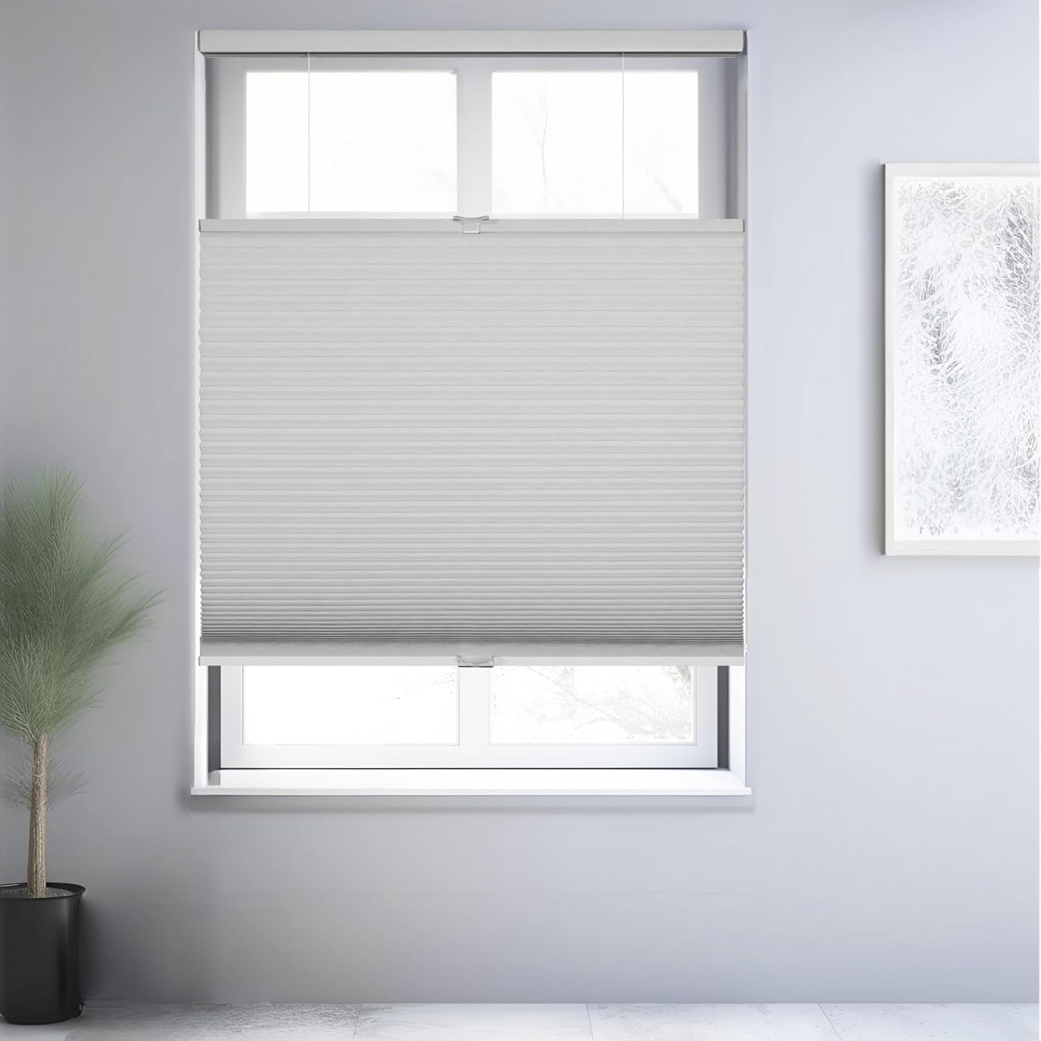 Chicology White Blackout Cordless Top Down Bottom Up Cellular Shades 26 in. W x 72 in. L