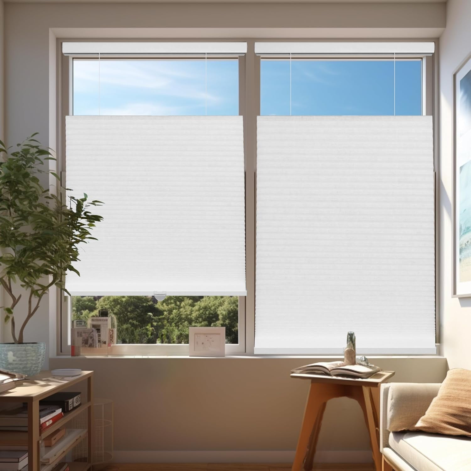 Chicology White Light Filtering Cordless Top Down Bottom Up Cellular Shades 45.5 in. W x 72 in. L