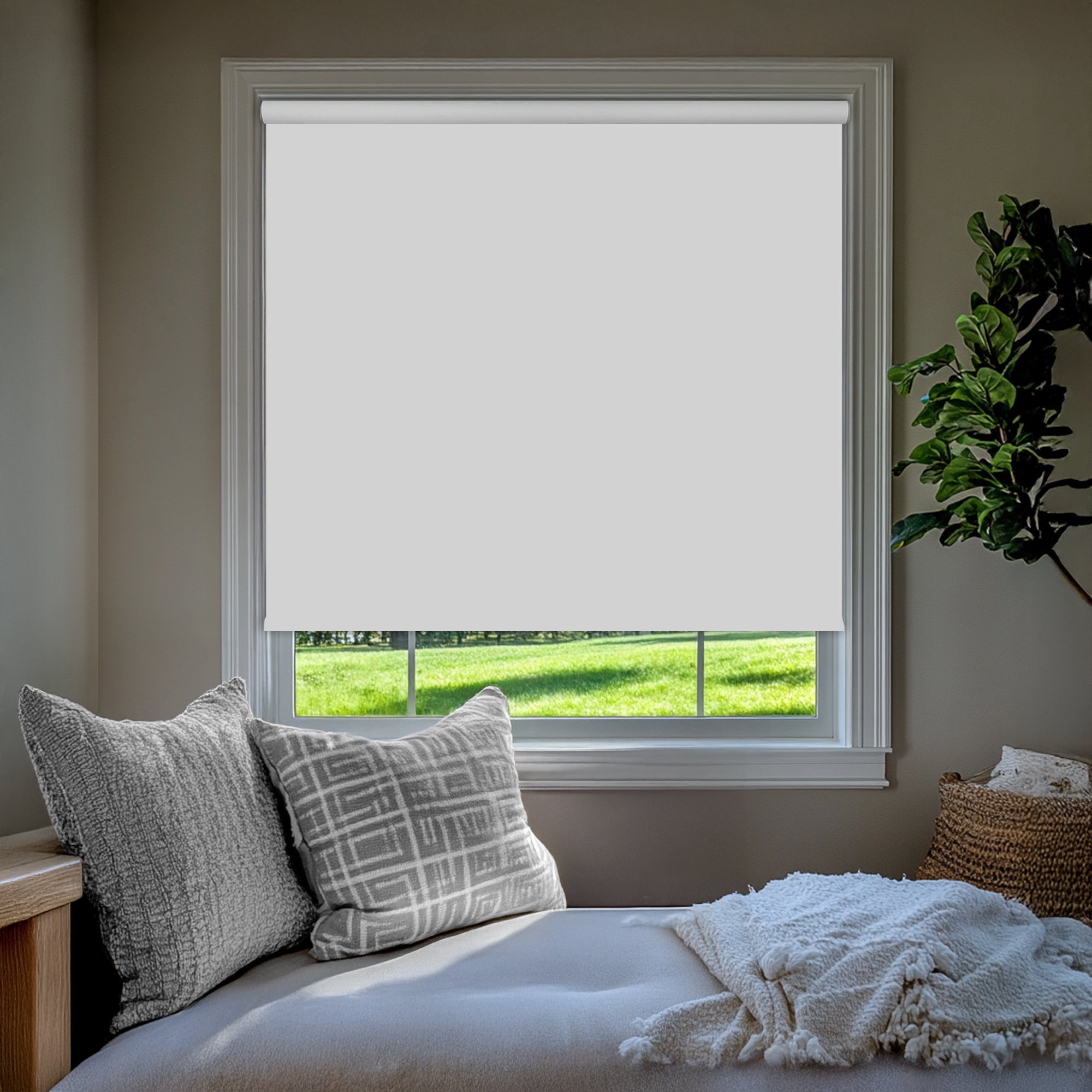 Chicology Blackout Roller Shades| Cordless Room Darkening Window Blinds |50.25"W X 64"H| Privacy Shades for Bedroom & Living Room | UV Protection | White
