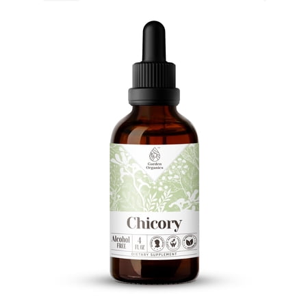 Chicory Extract, Natural Herbal Supplement for Digestive Support, Chicory (Cichorium Intybus) Dried Root Tincture, Alcohol-Free, Drops 4 oz