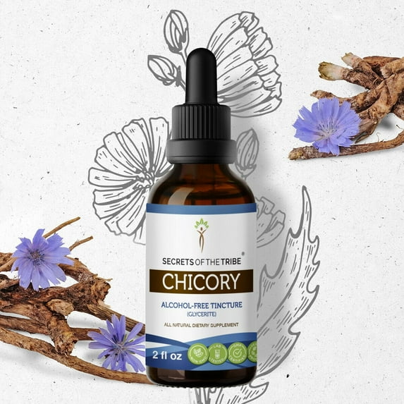 Secrets Of The Tribe Chicory Tincture Dietary Supplement, Natural Herbal Extract for Digestive Support, Chicory (Cichorium intybus) Dried Root, Alcohol-Free Extract, Drops 2 oz