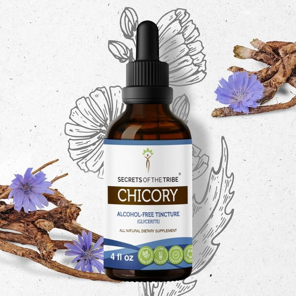 Secrets Of The Tribe Chicory Tincture Dietary Supplement, Natural Herbal Extract for Digestive Support, Chicory (Cichorium intybus) Dried Root, Alcohol-Free Extract, Drops 4 oz