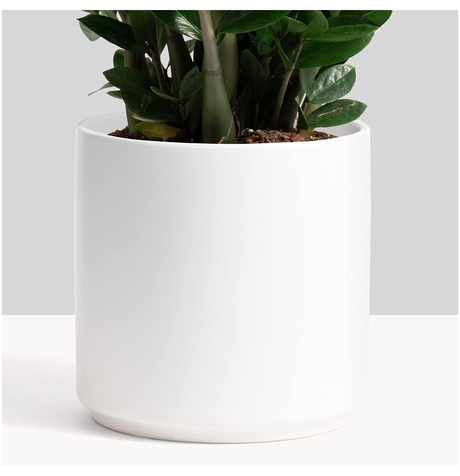 Chictail 12 Inch White Ceramic Planter. Classic Cylinder Plant Pot for