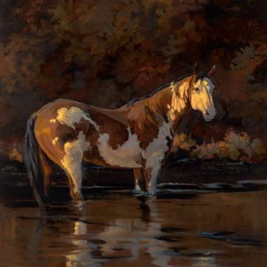 Chief Canvas Art - Karen Bonnie (24 x 24)