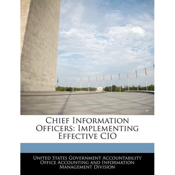 Chief Information Officers : Implementing Effective CIO (Paperback)