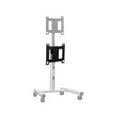 thumbnail image 1 of Chief P-Series Dual Vertical Display Accessory - For Mobile Cart - Black - Mounting component - for LCD display - column - for P/N: PF1UB, PF1-US, PFCU, PFCUB, PFCUB700, PFCUS700, 1 of 2