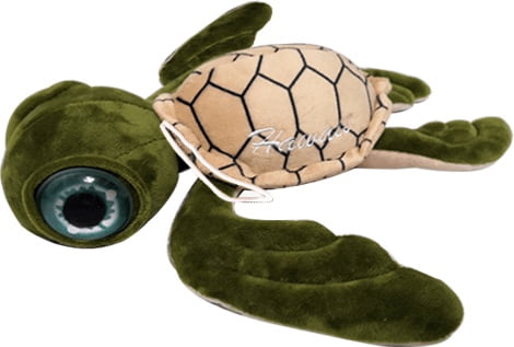 Chiefly Big Eye Sea Turtle (10in)