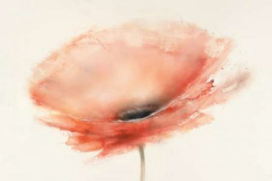 Chiffon Poppy Canvas Art - JP Prior (12 x 18)