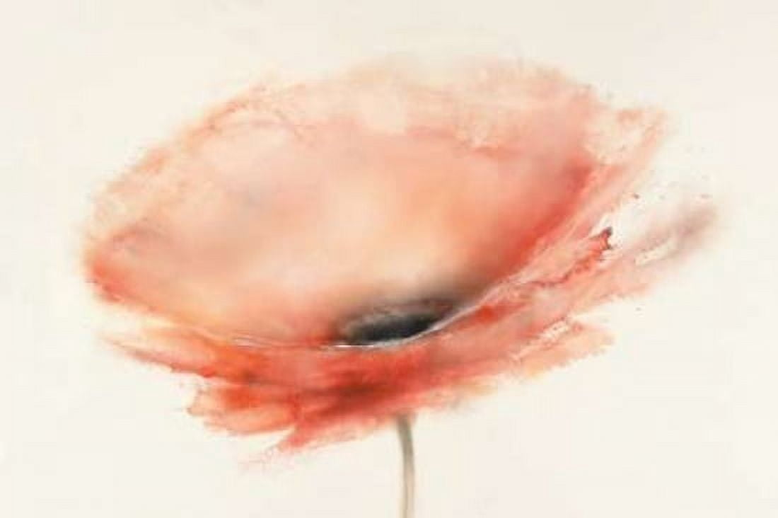 Chiffon Poppy Canvas Art - JP Prior (24 x 36)
