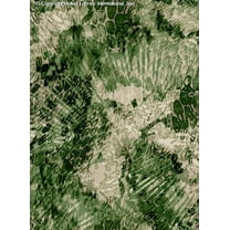 Chiffon Printed Kaleidoscope Fabric by the Yard Snake Skin Print Sheer Dress Fabric (BLACK/ARMY/KHAKI, HalfaYard)