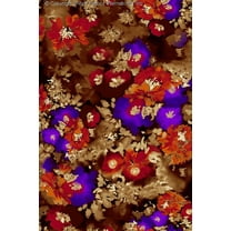 Chiffon Printed Large Floral Aqualonia Sheer Dress Fabric by the Yard (BROWN/MAGENTA/RED, HalfaYard)
