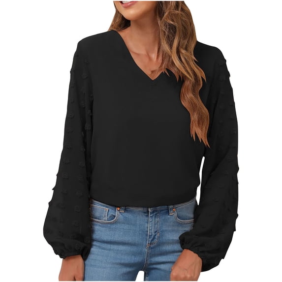 Chiffon Shirt for Women Swiss Dot Long Sleeve Tunic Tops Solid Color V-Neck T-Shirt Relax Fit Work Blouse Casual Tops