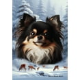 Chihuahua Black Longhaired Best of Breed Winter Wonderland Garden