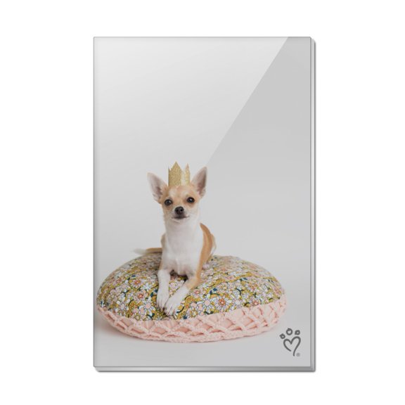 Chihuahua Cushion King Puppy Dog Rectangle Acrylic Fridge Refrigerator Magnet