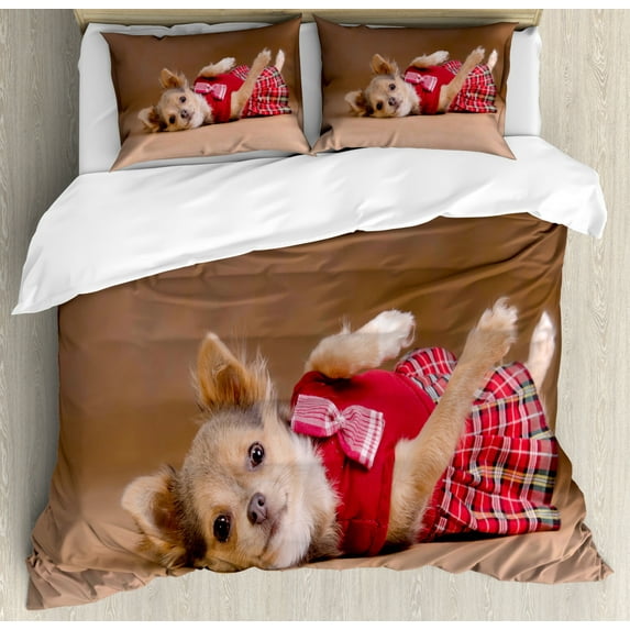 Chihuahua Duvet Cover Set King Size, Photo of Puppy Wearing Kilt Lying on Its Back, Decorative 3 Piece Bedding Set with 2 Pillow Shams, Pale Chocolate Vermilion Almond, by Ambesonne