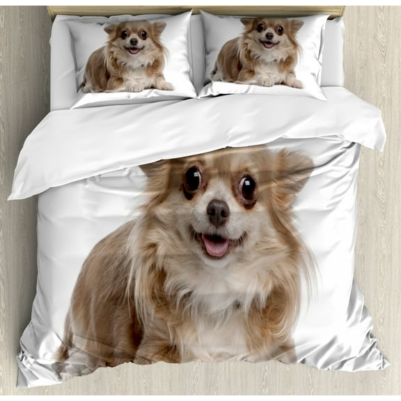 Chihuahua Duvet Cover Set King Size, Plain Backgorund Photo of Funny Puppy Lying Print, Decorative 3 Piece Bedding Set with 2 Pillow Shams, Umber Camel Pale Sepia and White, by Ambesonne