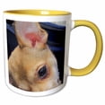 thumbnail image 1 of 3drose, Chihuahua Eye, 11oz Two-tone Yellow Mug, 1 of 6