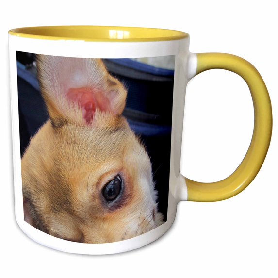 3drose, Chihuahua Eye, 11oz Two-tone Yellow Mug