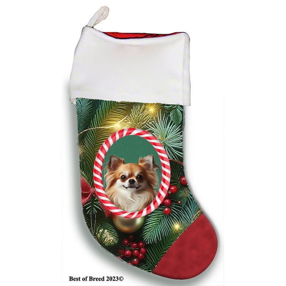 Chihuahua Fawn Longhaired - Best of Breed Christmas Stocking 13.5" Red Gaming Cloth with Red Lining ,Plush White Cuff