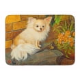 thumbnail image 1 of Chihuahua Just Basking Machine Washable Memory Foam Mat, 1 of 1
