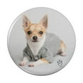 thumbnail image 1 of Chihuahua Little Dog in a Sweater Kitchen Refrigerator Locker Button Magnet, 1 of 6