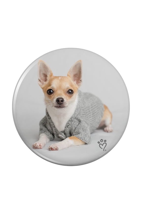Chihuahua Little Dog in a Sweater Pinback Button Pin
