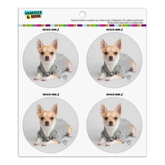 Chihuahua Little Dog in a Sweater Refrigerator Fridge Locker Vinyl Circle Magnet Set