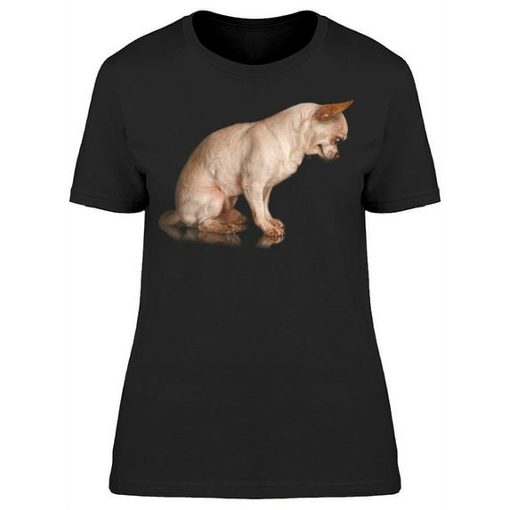 Chihuahua Looking Down T-Shirt Women -Image by Shutterstock, Female XX-Large